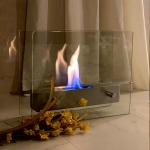 (12월특가) [단독할인] 메종501 팡디오 스토브 : The Bio-ethanol fireplace [12월 20일 출고예정]