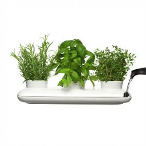 사가폼 Trio herb pot