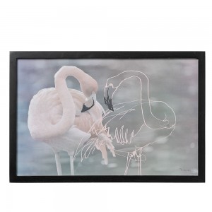 블루밍빌레 Flamingo Outline with frame